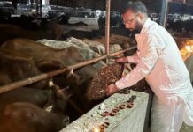 हम सभी को गौ माता का सम्मान व सेवा करनी चाहिए: गर्ग