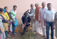 श्री मारकंडेश्वर मंदिर में धूम-धाम से मनाया गया गोपाष्टमी पर्व