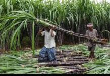 कृषि को बढ़ावा देने के लिए हरियाणा सरकार द्वारा किसानों के हित में अनेकों चलाई योजनाएं -जोशी