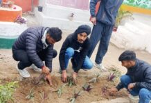 गांव थंबड में एन एस एस दिवस का चौथा दिन