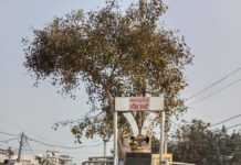 श्री राम जी के प्राण प्रतिष्ठा के शुभ अवसर पर श्रमदान किया गया