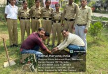 राजकीय महाविद्यालय घरौंडा में मनाया गया योग दिवस