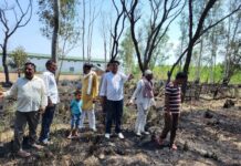 हलदरी के पंचायती जंगल में लगी आग, लाखों का नुकसान