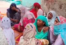 जहरीले सांप के ड़सने से करमजीत की हुई मौत