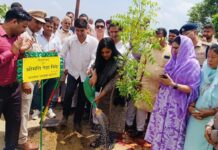 एक पेड़ माँ के नाम मुहीम के तहत पेड़ लगाकर वातावरण को बनाएं सुरक्षित : नेहा सिंह