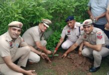 बराड़ा में जागृति सेवा ट्रस्ट द्वारा पौधारोपण कार्यक्रम का आयोजन, डीएसपी सुरेश कौशिक ने किया शुभारंभ