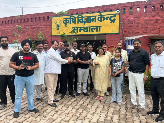 WhatsApp Image 2025-08-14 at 3.31.32 PM