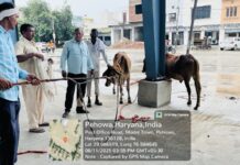 सभी बेसहारा पशुओं को जल्द से जल्द गौशालाओं में करें शिफ्ट : अभिनव सिवाच