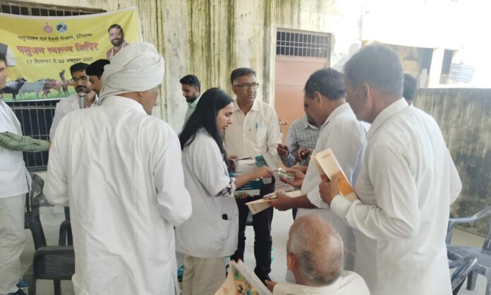 WhatsApp Image 2025-09-25 at 5.29.49 PM