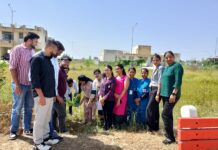 विभिन्न प्रकार के औषधियो के पौधे लगा कर सशक्त नारी सशक्त परिवार अभियान का किया गया शुभारंभ : डा. मनीषा