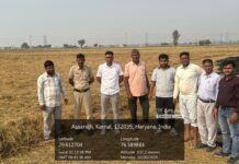 पराली जलाने का मामला मिला, किसान पर एफआईआर व लगाया जुर्माना