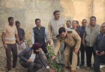 धरती माता का शृंगार हैं पेड़: हरपाल सिंह