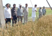 महेंद्र सिंह पंजोखरा चेयरमैन मार्किट कमेटी इंद्री ने ओलावृष्टि से प्रभावित क्षेत्रों का किया दौरा