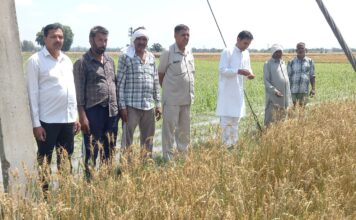 महेंद्र सिंह पंजोखरा चेयरमैन मार्किट कमेटी इंद्री ने ओलावृष्टि से प्रभावित क्षेत्रों का किया दौरा