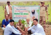 डेरा सच्चा सौदा की संगत ने पिछले कुछ वर्षों में लाखों पौधे लगाने और उनकी देखभाल करने का संकल्प लिया है-चेयरमैन प्रेमी