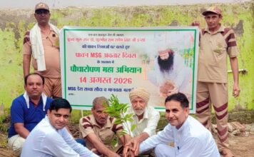 डेरा सच्चा सौदा की संगत ने पिछले कुछ वर्षों में लाखों पौधे लगाने और उनकी देखभाल करने का संकल्प लिया है-चेयरमैन प्रेमी
